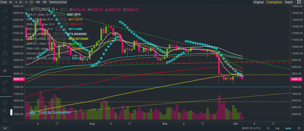 Btc 8k support ta $vet crypto