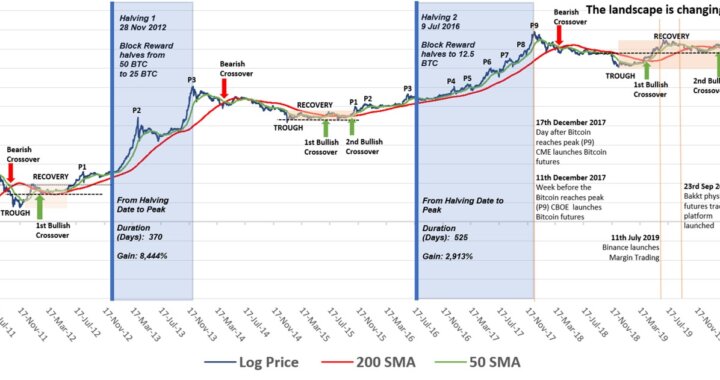 Bitcoin Price Analysis An Investigation Of Bitcoin S Halving Performance